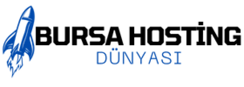 bursahostingdunyasi